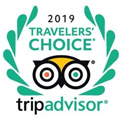2019 Trip Advisor Badge